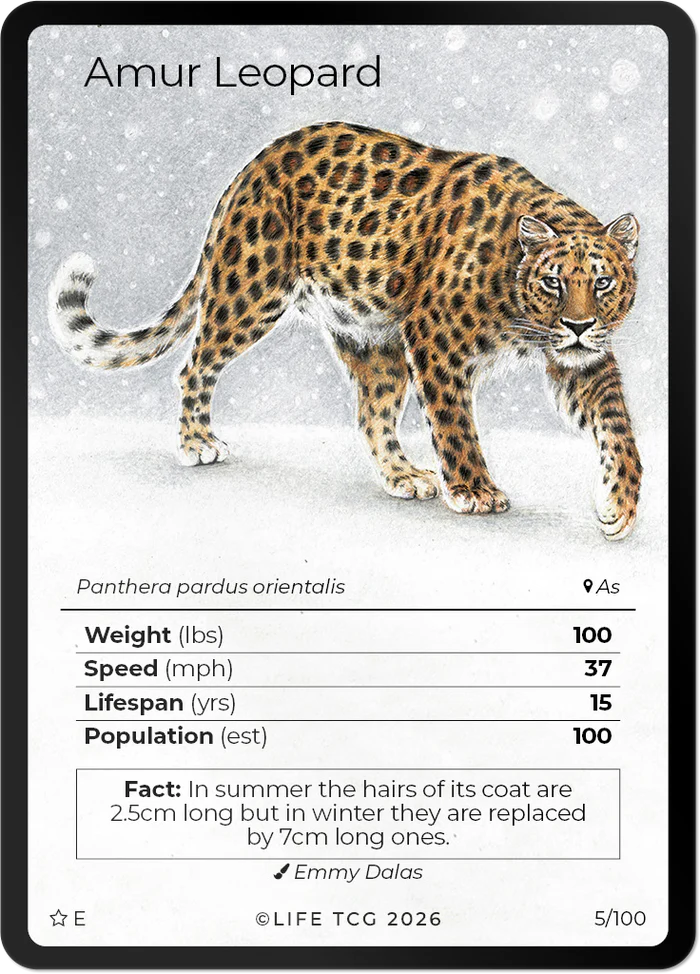 Life TCG: Mammals Special Edition Booster Box