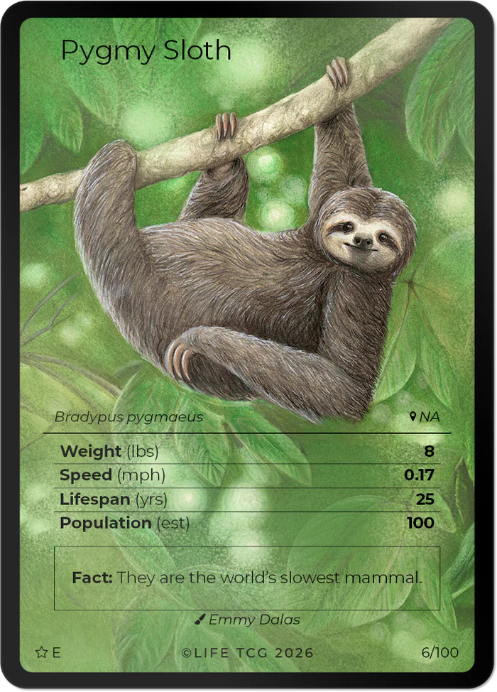 Life TCG: Mammals Special Edition Starter Box