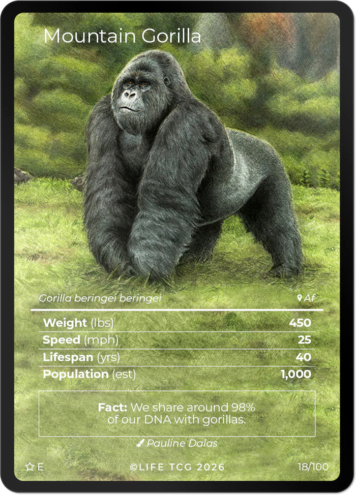 Life TCG: Mammals Special Edition Mini Box