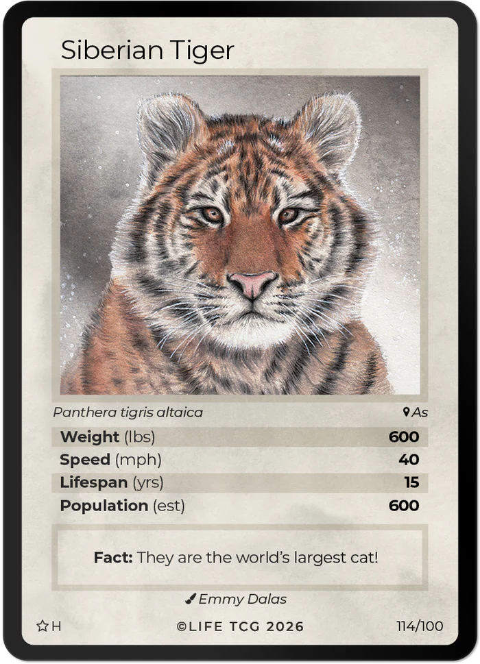 Life TCG: Mammals Special Edition Mini Box