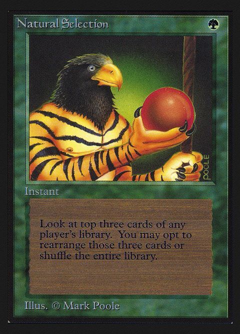 213-naturalselection