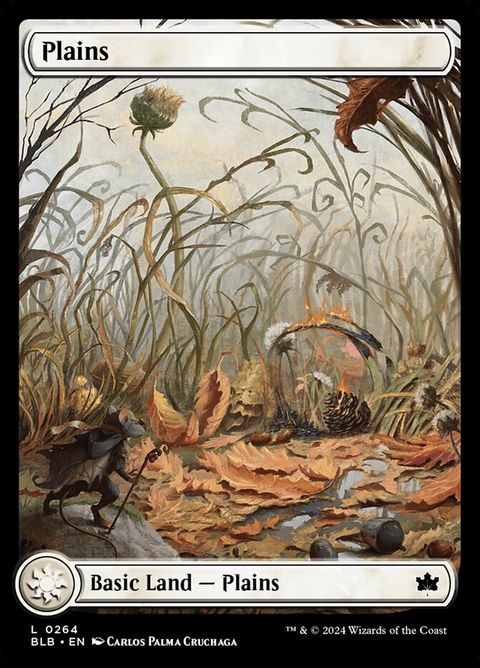 264-plains