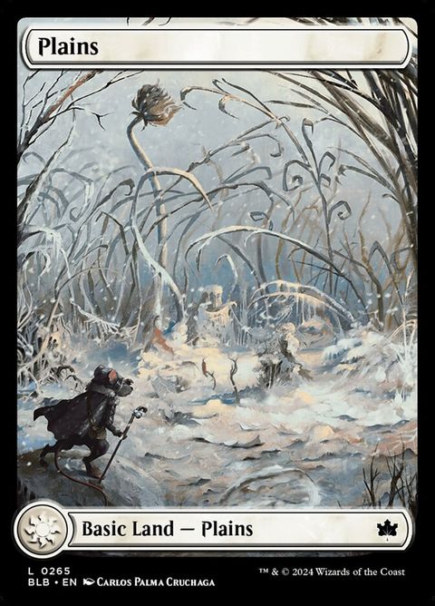 265-plains
