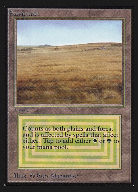 281-savannah