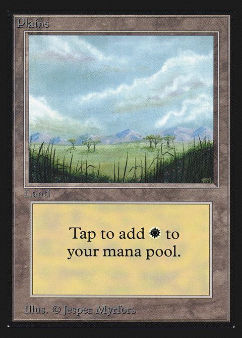 289-plains