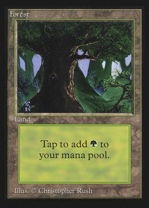 302-forest