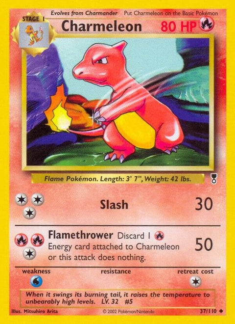 37-charmeleon