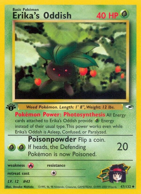 47-erikasoddish