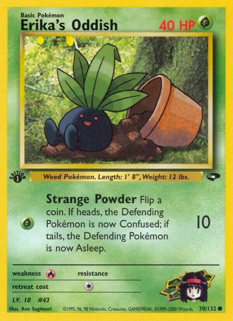 70-erikasoddish