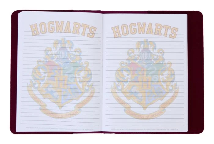 Loungefly: Harry Potter Journal