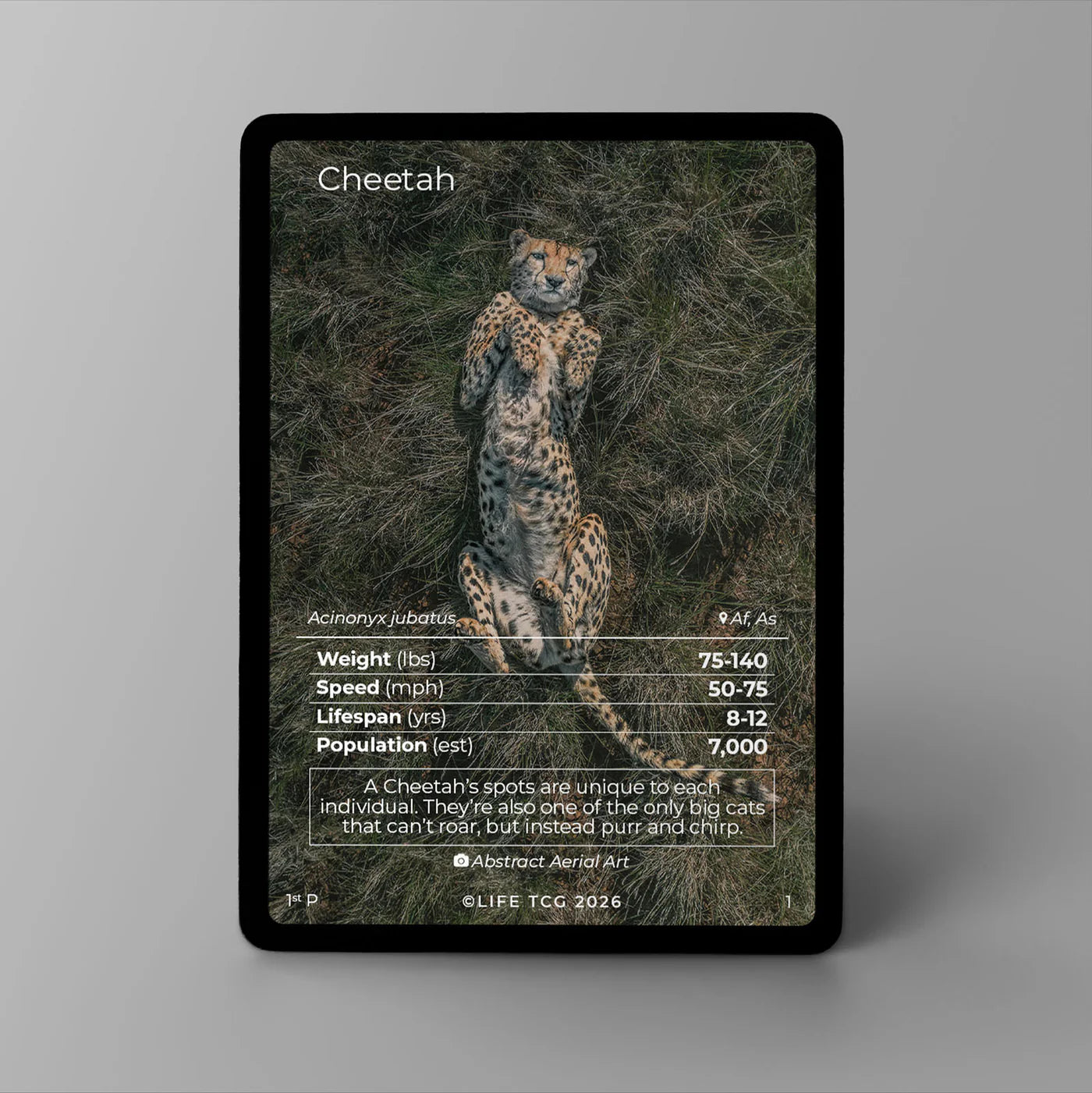 Life TCG: Cheetah Photography Card Promo