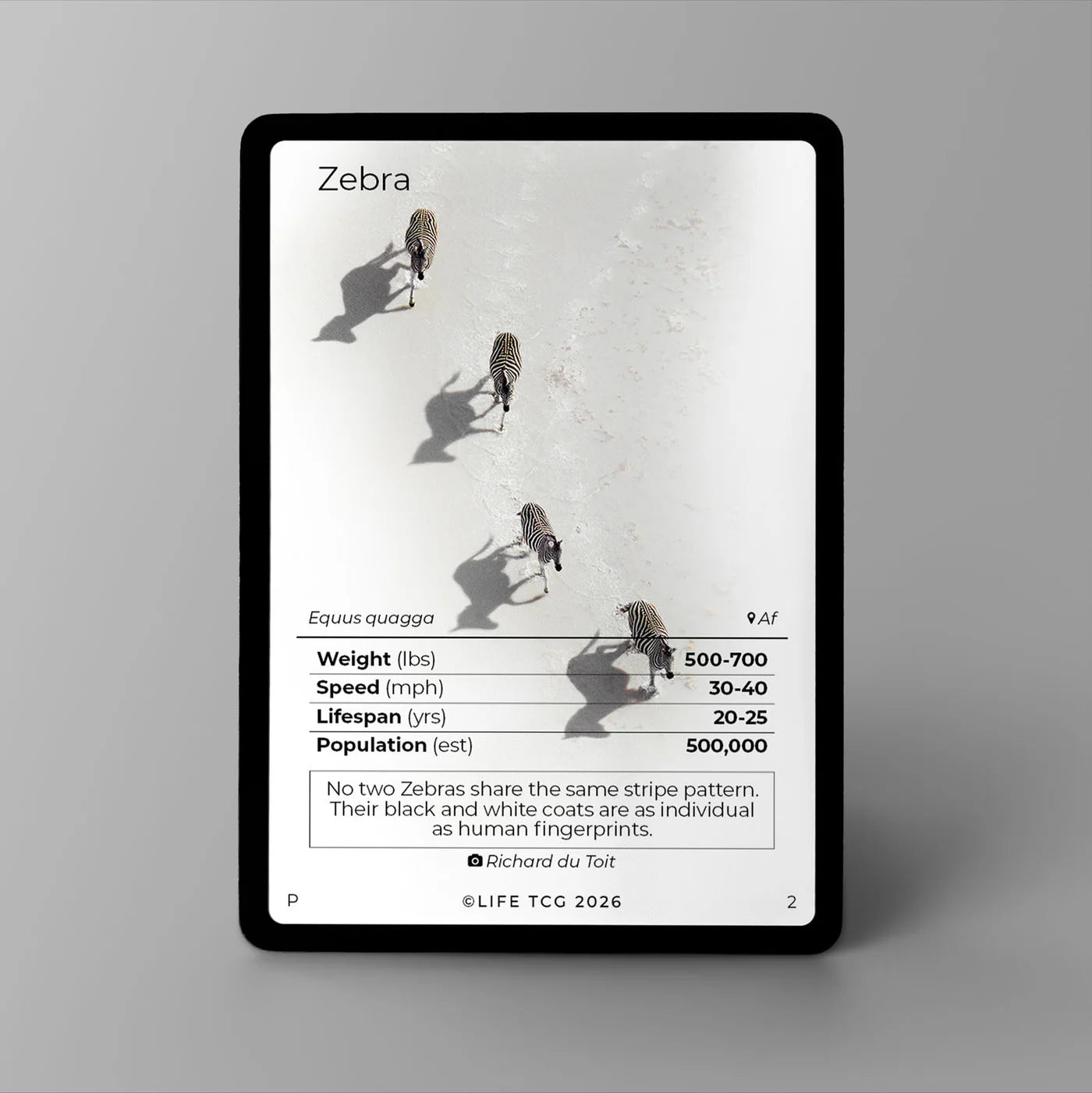 Life TCG: Zebra Photography Card Promo