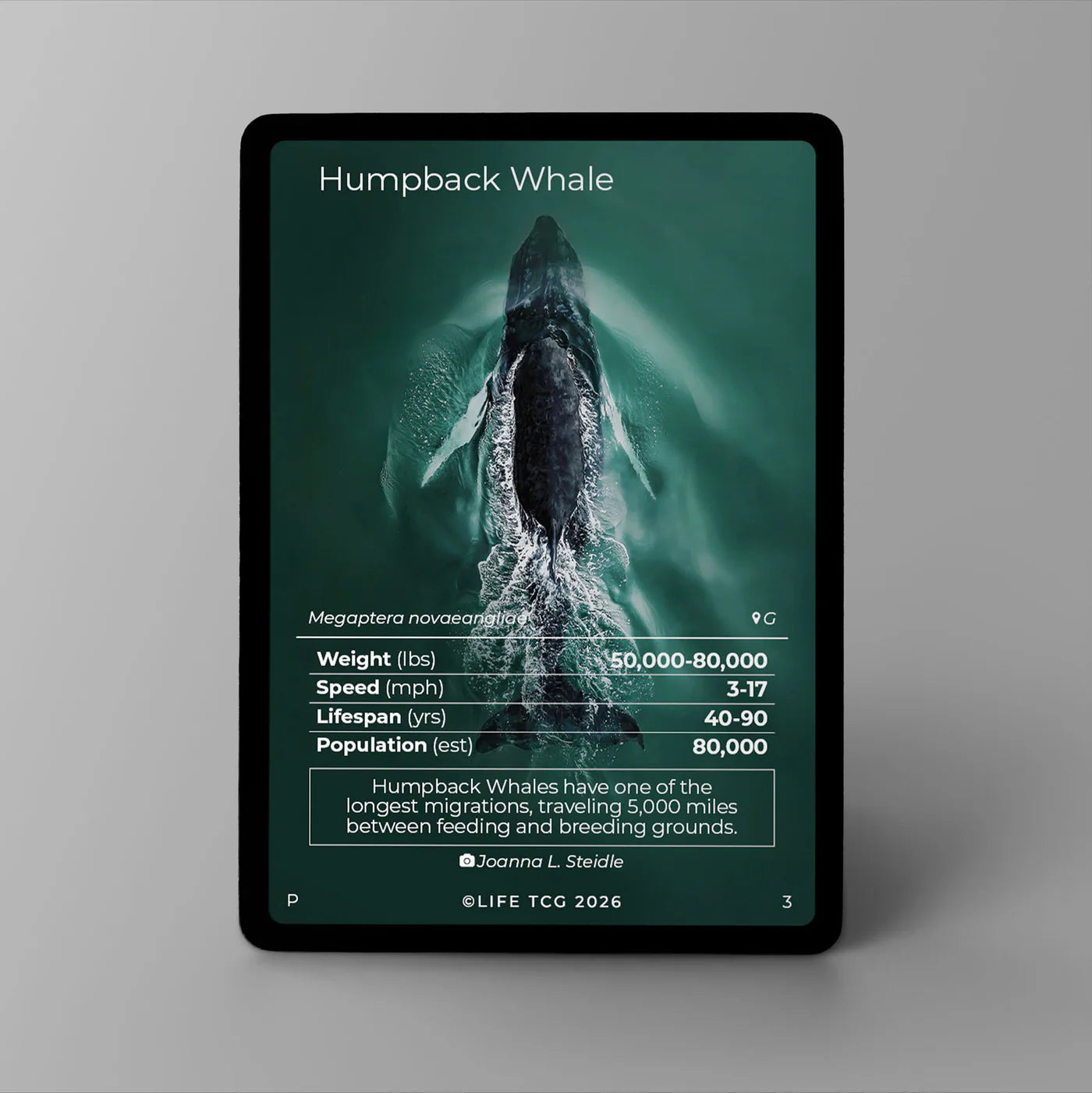 Life TCG: Humpback Whale Photography Card Promo
