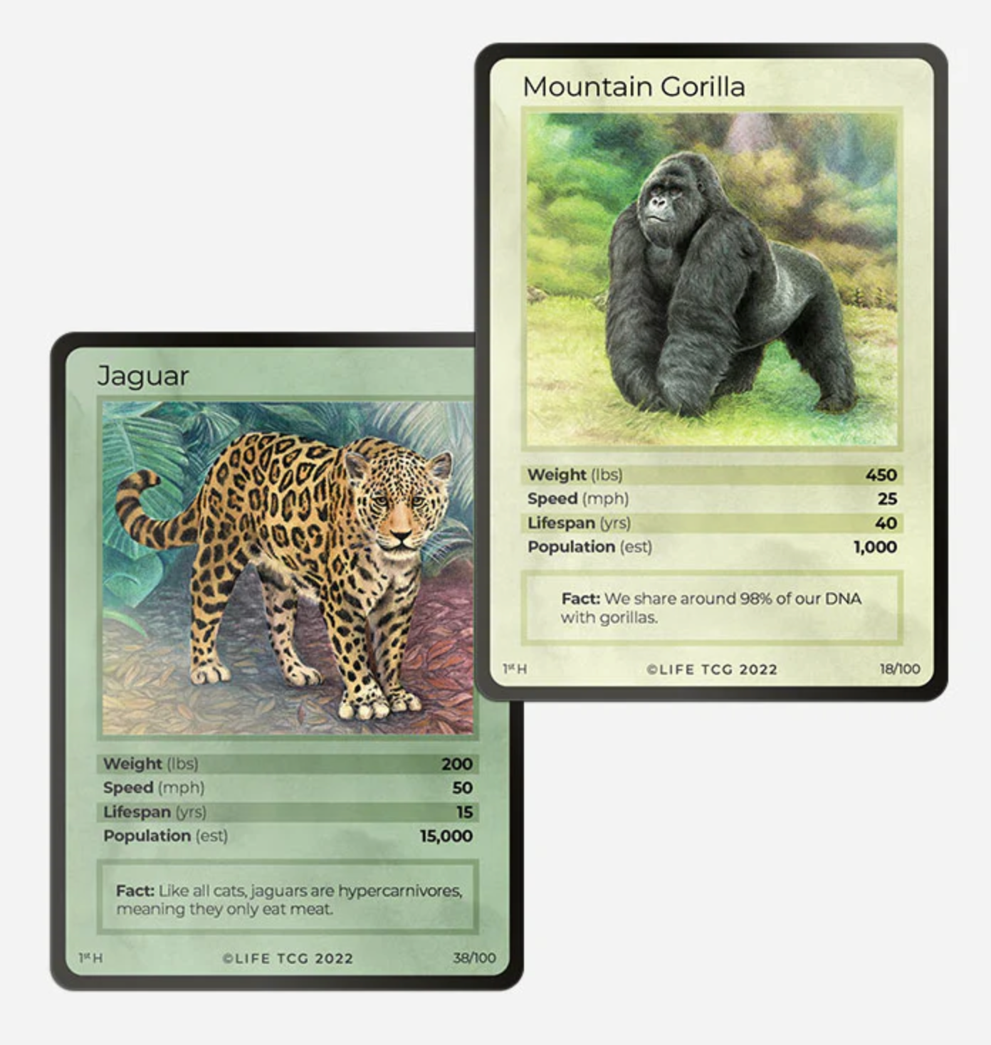 Life TCG: Mammals 1st Edition Booster Box (Limited edition of 2000)
