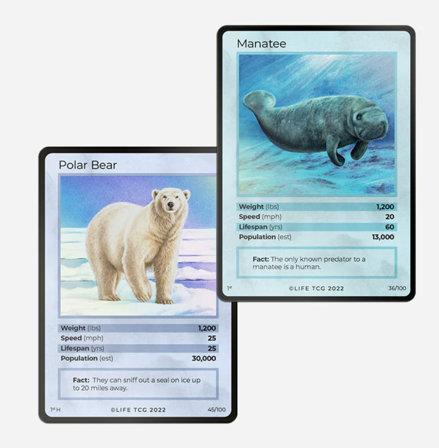 Life TCG: Mammals 1st Edition Booster Box (Limited edition of 2000)