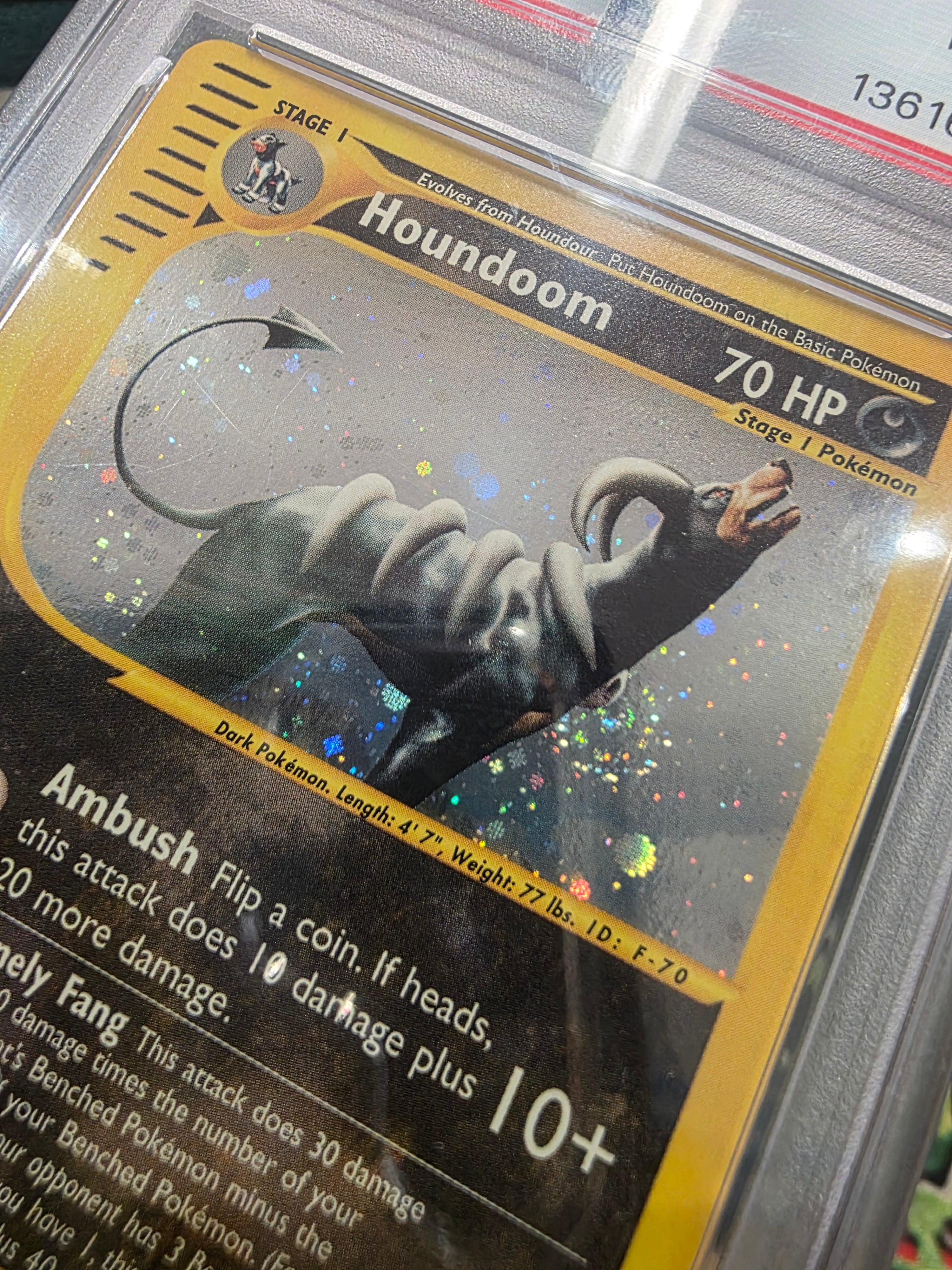 Houndoom H11 Skyridge Holo 2003 PSA 8 *Swirl*